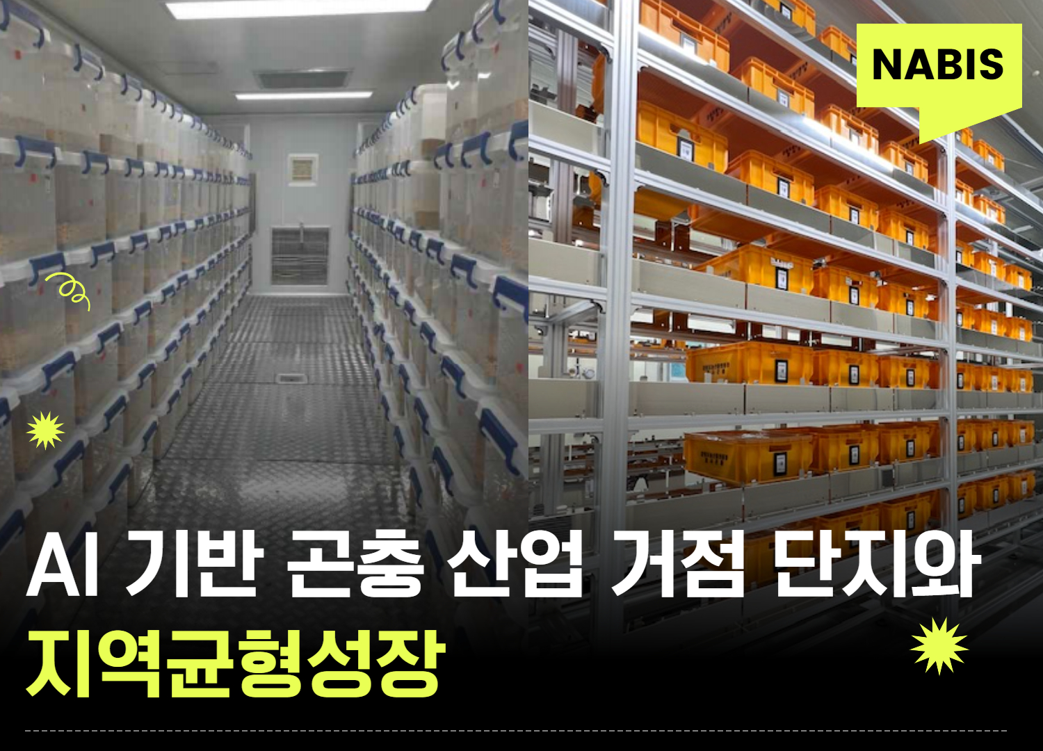 AI 기반 곤충 산업 거점 단지와 지역균형성장