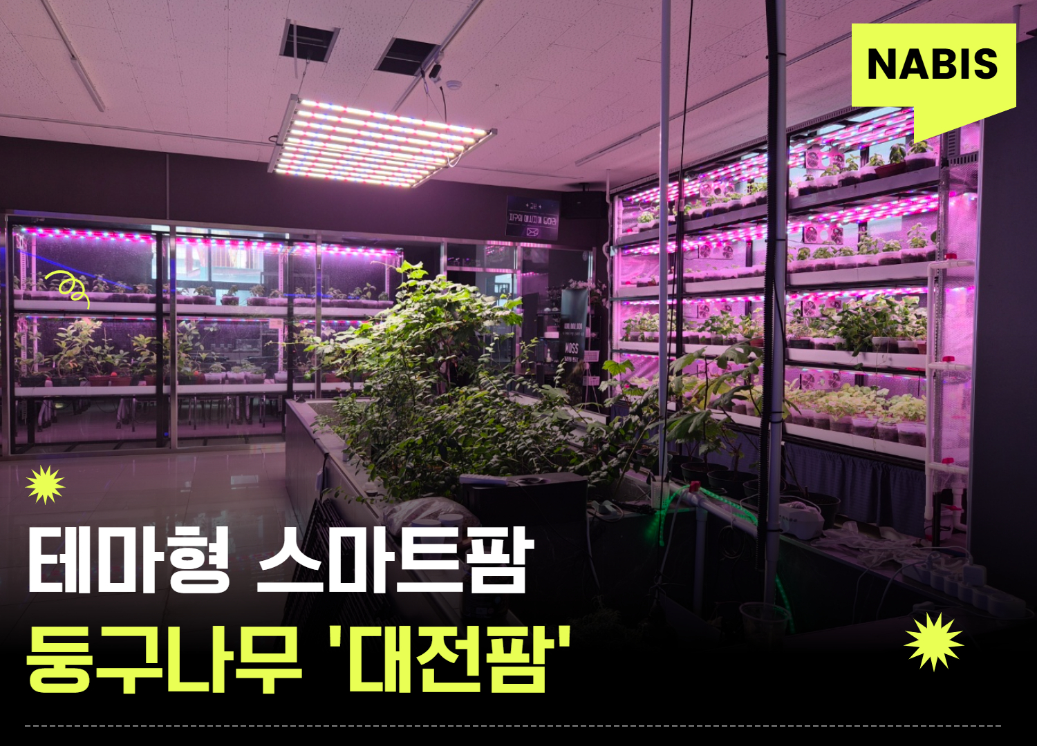 도심 속 유휴공간이 ‘대전팜’으로 꽃피다