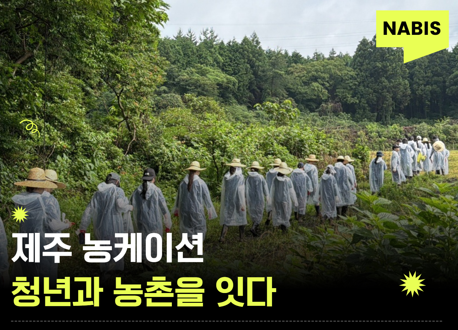 제주 농케이션, 청년과 농촌의 균형성장