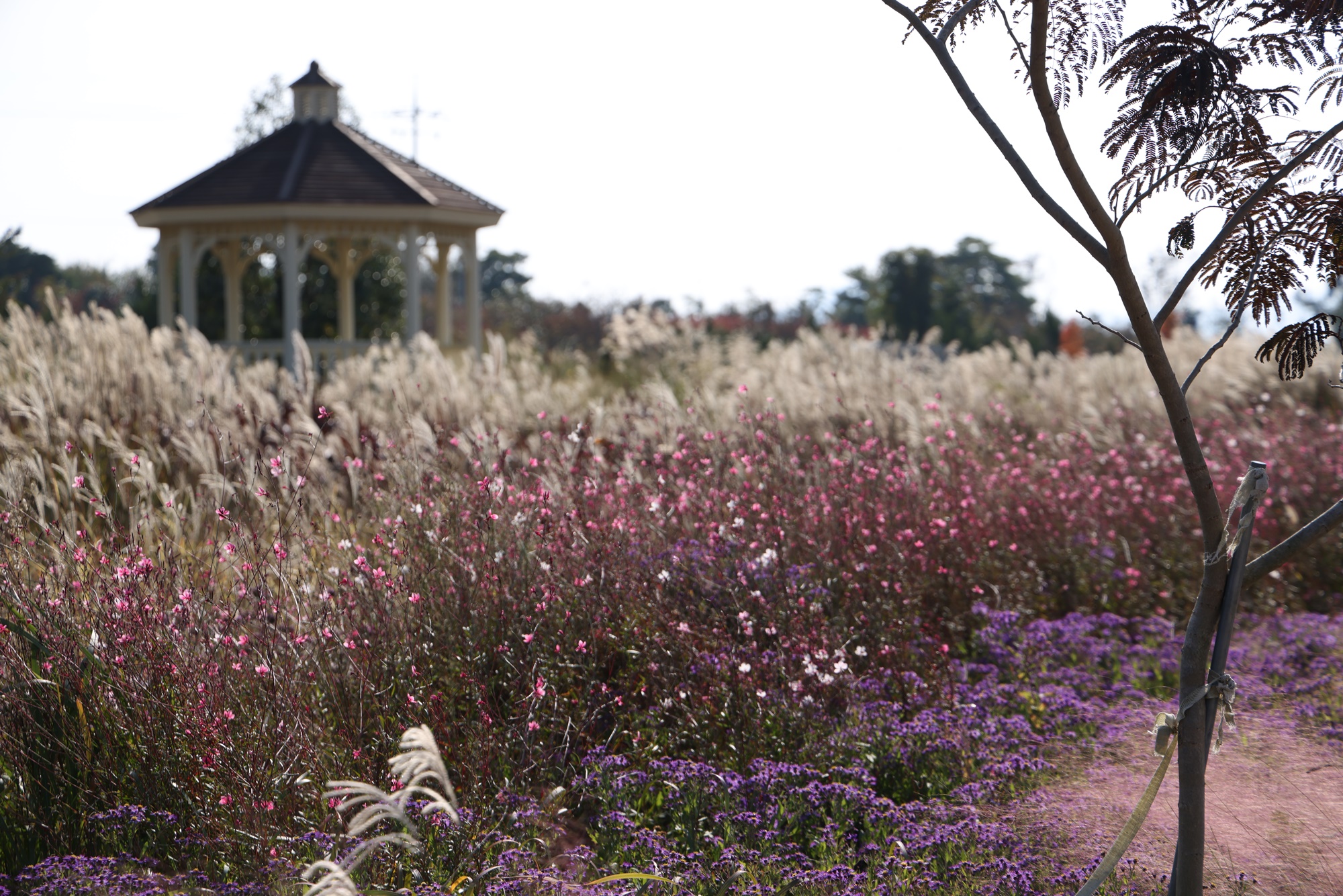 콘크리트 숲을 떠나 '초록의 위로'를 찾다 : 대한민국 정원 열풍과 해남이 그리는 정원도시